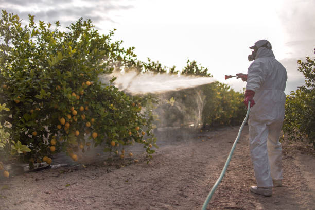 Pest Prevention Services in Albuquerque, NM